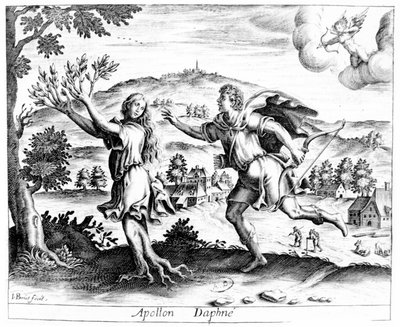 Daphne, fleeing from the amorous Apollo, is transformed into a bay laurel tree by Jean Matheus